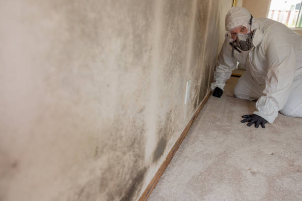 Dehumidification Services in Redwater, TX